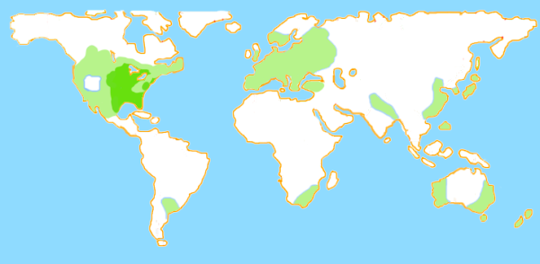 Mapa výskytu tornád